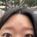 엘리뷰티 눈썹&속눈썹 | 대전 엘리뷰티 눈썹&속눈썹: 봉명동 속눈썹펌맛집 시술 후기