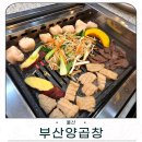 부산양곱창 | 울산동구곱창 찐맛집 단골 많은 부산양곱창 모듬한판 후기