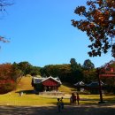 파주삼릉 이미지