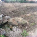 제주도성산공인중개사사무소 이미지