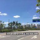 영종도하늘도시구읍뱃터공인중개사사무소 이미지