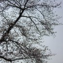 운천저수지 이미지