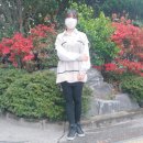 여자데일리옷쇼핑몰 삼월부티크 페이즐리셔츠 후기