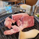 도야진가