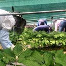 홍성 광천읍행정복지센터 이미지