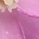 반포3동주민센터 5층 대강당 이미지