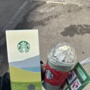 황해떡집 | 오는정김밥 예약 꿀팁, 외돌개, 서귀포애견동반카페 담소요, 황해식당, 공항근처맛집, 귤귤스토어도두점)