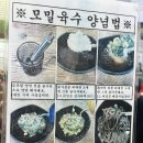 놀부만두 | [회기] 판모밀 맛집 회기역 ‘놀부만두’ 솔직 후기