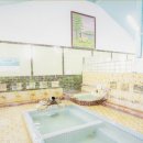 돌고래목욕탕 | [부모님과 함께한 겨울 가고시마 여행 3박 4일] 일정 공유, 맛집 공유, 이부스키 당일치기