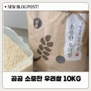 광복영농조합법인 | 쿠팡 곰곰 소중한 우리쌀 2024년(햅쌀) 10kg 궁금해서 시켜본 후기