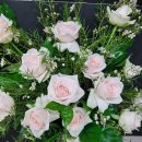 한국화훼센타 이미지