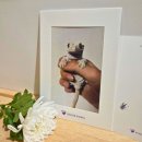 포포즈 반려동물장례식장 부산점 | 화성 포포즈 반려동물 장례식장 게코 도마뱀 라떼 이별 이야기