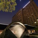 더밤호텔 이미지