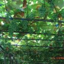 만해가든 이미지