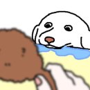 아영골 네이버블로그