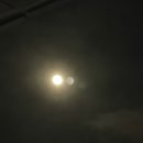 파파타코 이미지