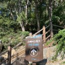 (주)스카이워크 | 포항 환호공원 스페이스워크 스카이워크 후기