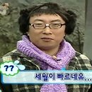 스테레오포닉 이미지
