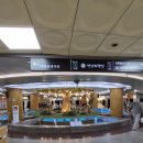 폴라리스 | 대전 타로 거리 폴라리스 방문 후기 | 주차 팁과 지인 추천까지!