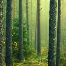 바람이 불어오는 곳 이미지