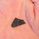 터미널 타이어 | 260228 타이어 펑크 보험사 부른 후기