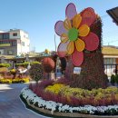 예산장터국밥 이미지