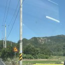 만천집 | 경북 애견동반 독채 대구 근교에 있는 의성 스테이만천 내돈내산 후기