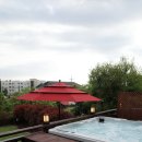 송이마당1198 이미지