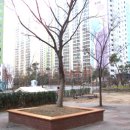 수원-2033 이미지