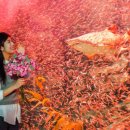 아쿠아플라넷 여수 이미지