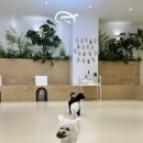 견생낙원 이미지