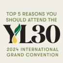 영 인터내셔날 이미지