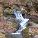 대황강 자연휴식공원 이미지