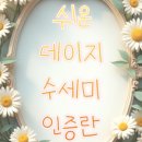 데이지영어학원