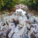 머체왓숲길영농조합 이미지