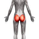 파워존스포츠 이미지