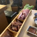 나노갈매기 이미지