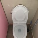 천풍동물병원 이미지