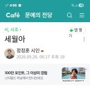 오월에 Daum카페