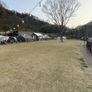 [반려견을 위한 캠핑장] 캠프정감 내돈내산 후기