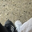 나경목장 이미지