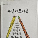 수필 아포리즘 이미지