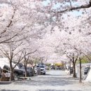 474오토캠핑장 이미지