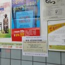 대동백화점 앞 이미지