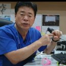 소피아여성의원 네이버블로그