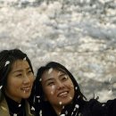 더 머물다 이미지