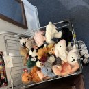 패밀리(FAMILY) | 맛깔난 빔즈 제품들 있는 수원 행궁동 빈티지샵 카빙패밀리(Carving Family) 방문 후기