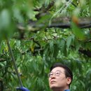 이재명농장 이미지