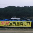 홍삼달임방
