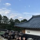 더바름치과병원 네이버블로그